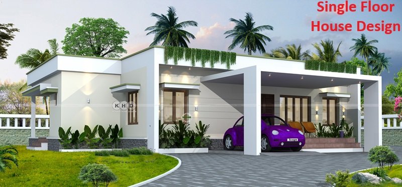 Single Floor House Design
